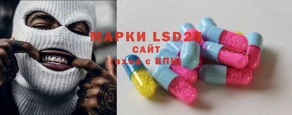 гидра Горняк