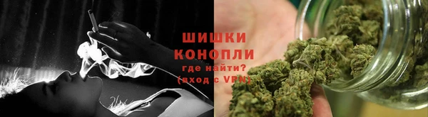 гидра Горняк
