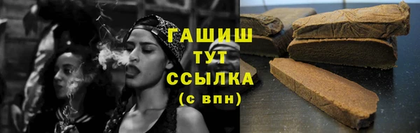 гидра Горняк