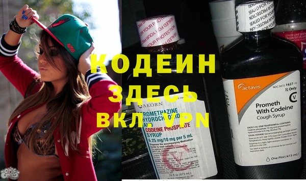 гидра Горняк