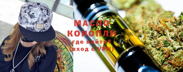 гидра Горняк