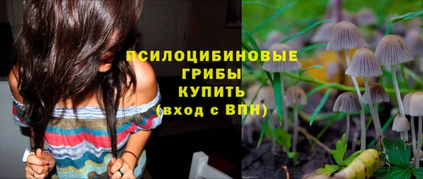 молекула духа Горнозаводск