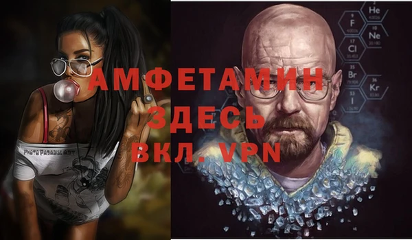 гидра Горняк