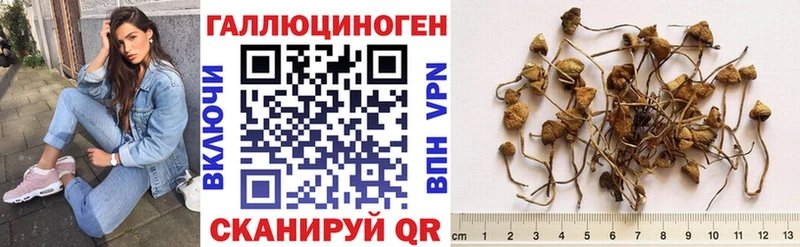 Галлюциногенные грибы MAGIC MUSHROOMS Каневская